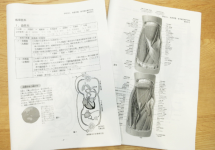 解剖学問題集とサブテキスト