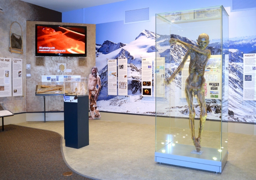 更新しました＞校長コラム | 鍼灸・針治療・あん摩マッサージ指圧師の