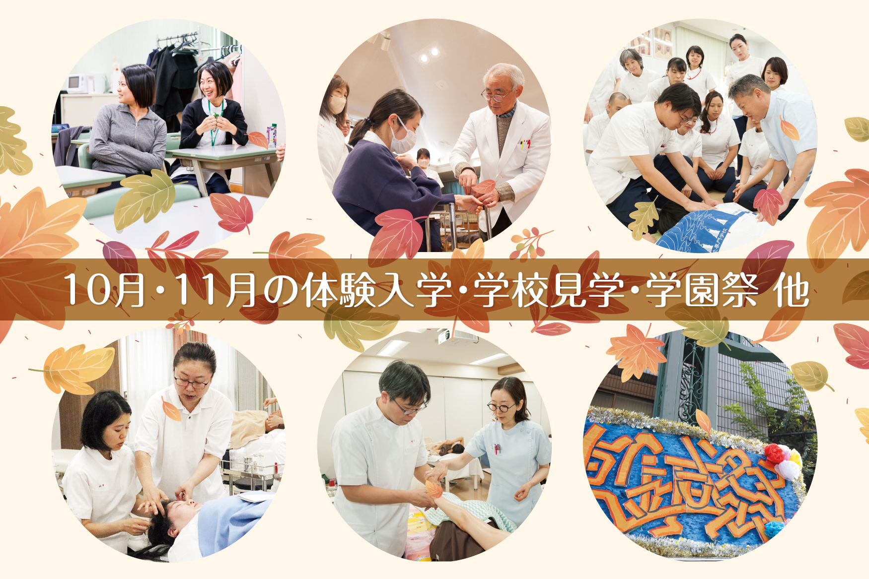 東洋鍼灸専門学校｜東京の鍼灸師・あんまマッサージ指圧師の専門学校