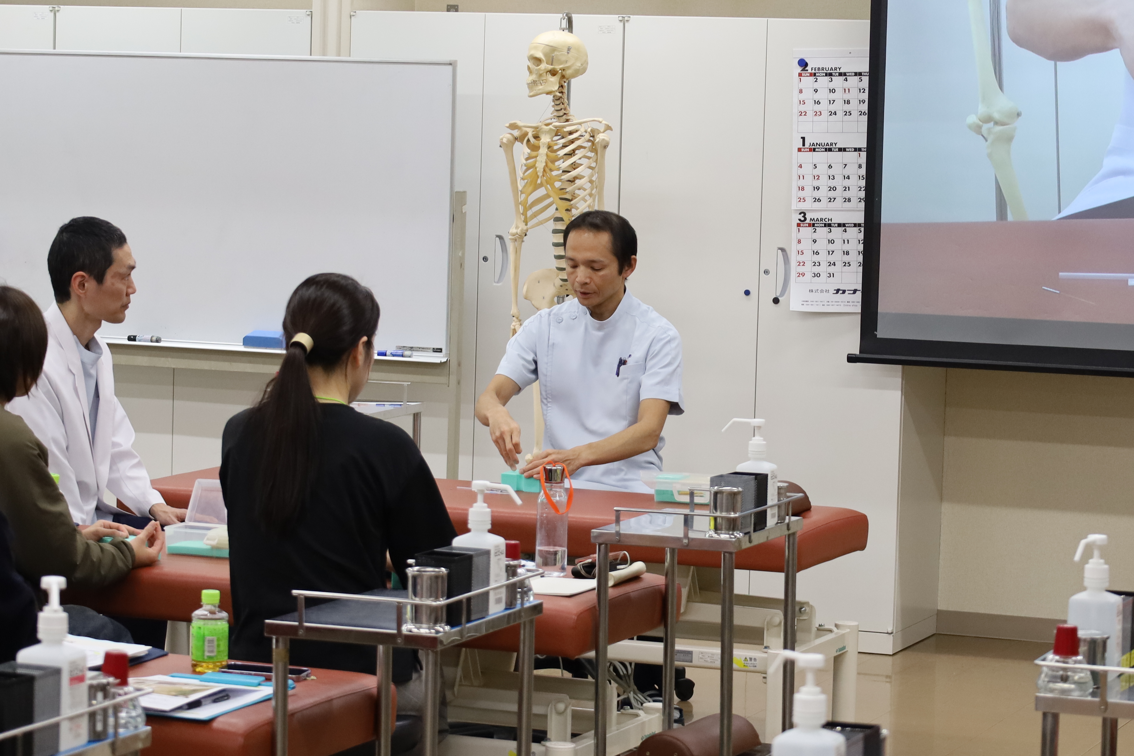 ハリ実技を体験しよう!